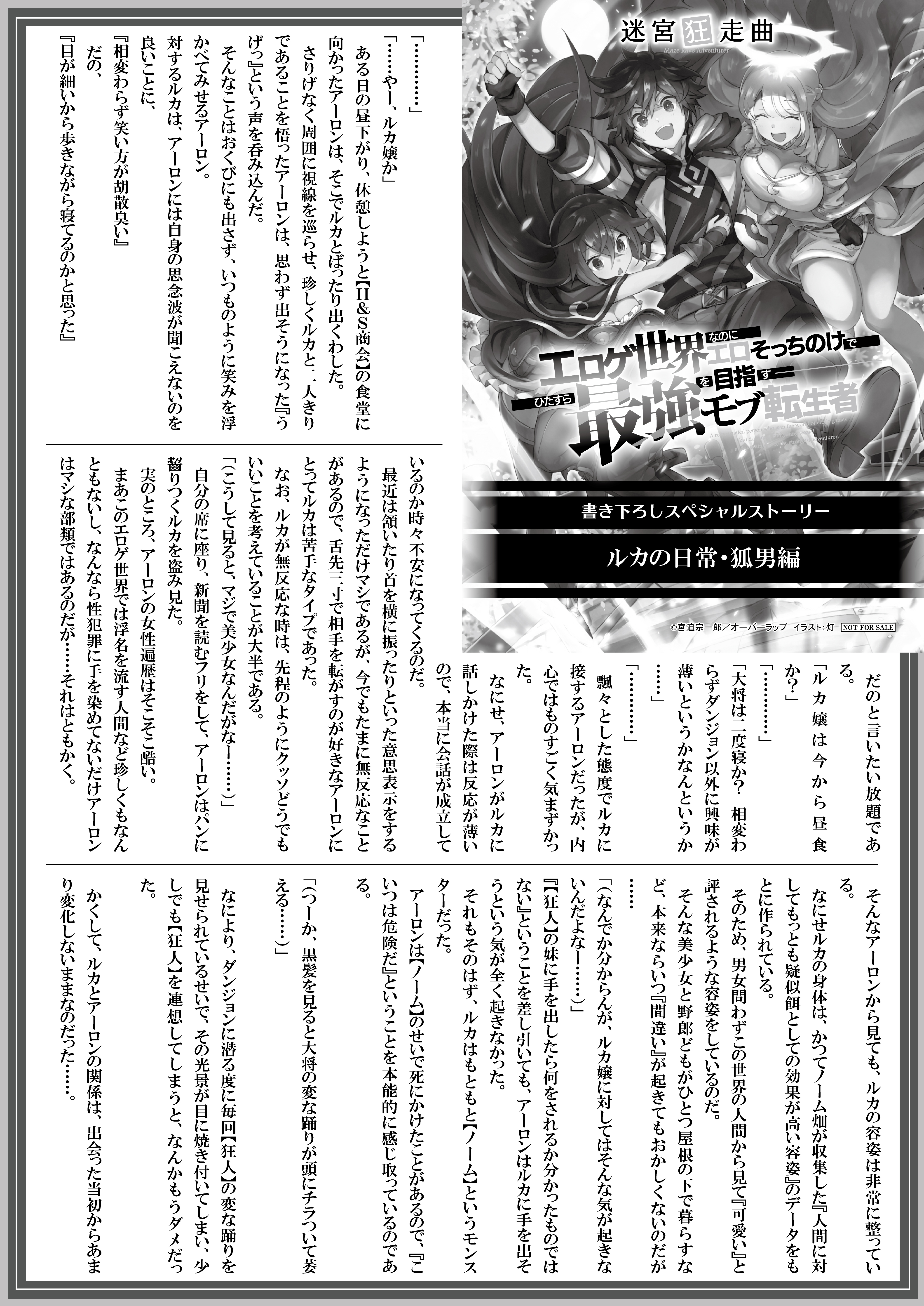 【文庫】『迷宮狂走曲2　～エロゲ世界なのにエロそっちのけでひたすら最強を目指すモブ転生者～』B5SSペーパー